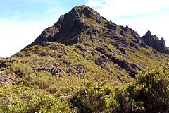 Cerro Chirrip