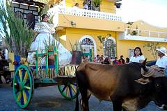 Festival de la Canne  Sucre de Cojutepeque