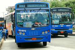 Bus urbains de Cuenca