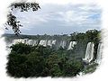 Iguazu et la fort tropicale